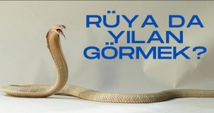 Rüyada Yılan Görmek – Anlamı ve Yorumları
